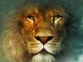 aslan