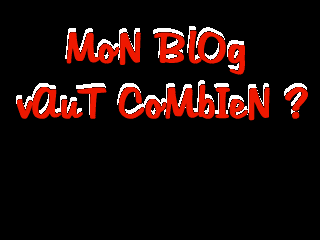 mon blog vaut combien